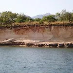 Morjani