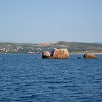 Morjani