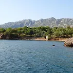 Morjani