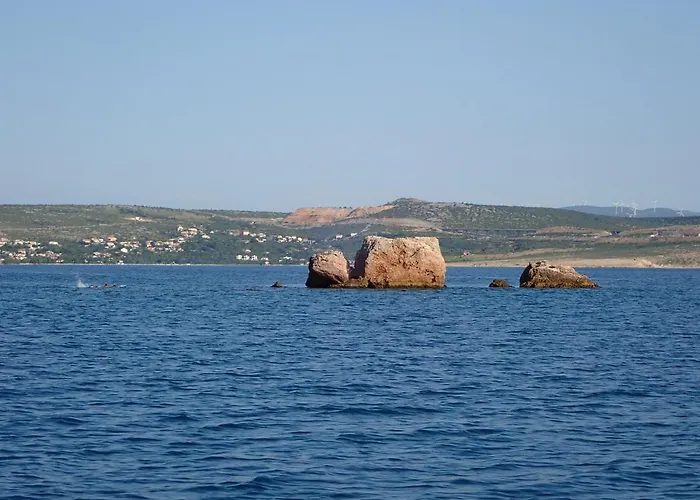 Morjani