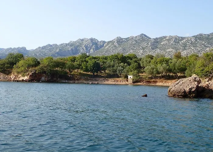 Morjani