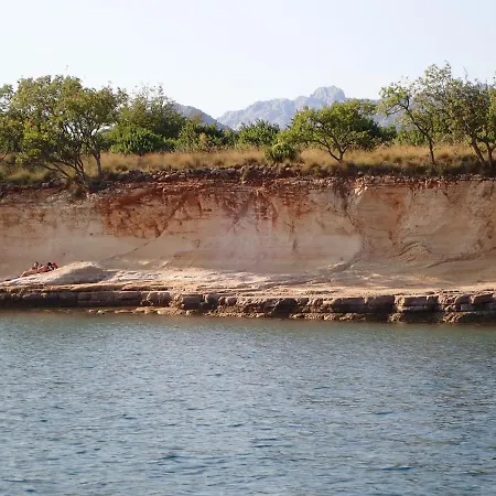 Morjani