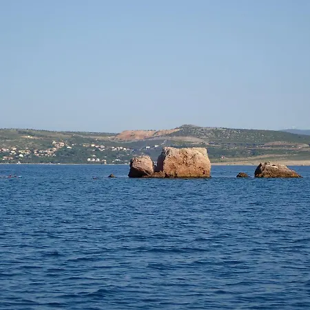 Morjani