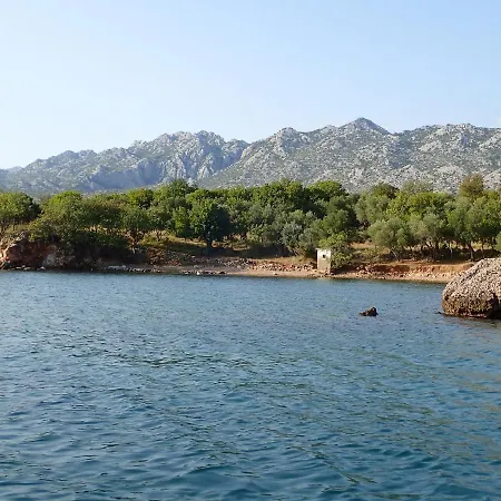 Morjani